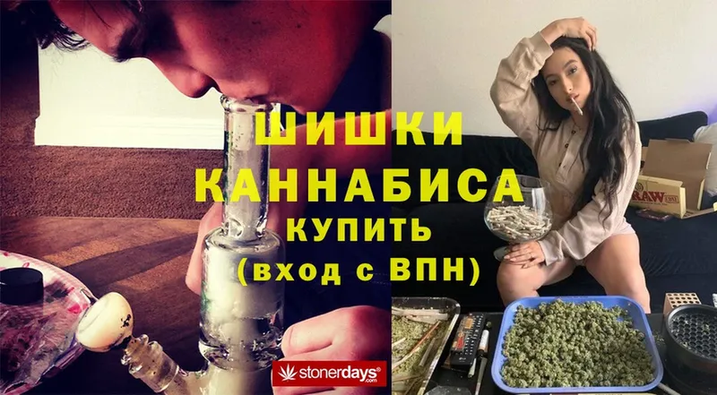 Бошки марихуана LSD WEED  даркнет сайт  Карачев 